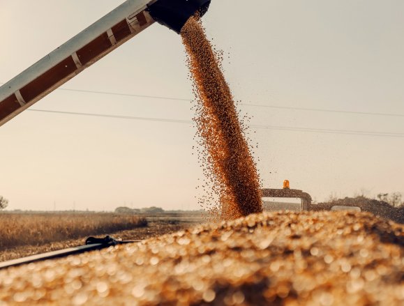 Soluciones para la industria agro